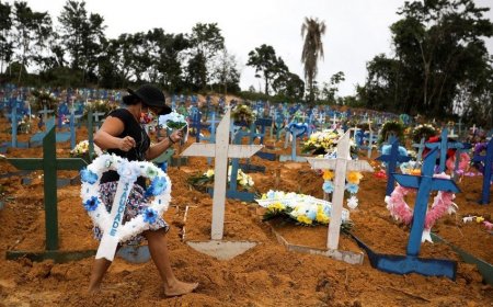 Braziliyada COVID-19-dan ölənlərin sayı 204 mini ötdü