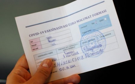 Saxta COVID-19 pasportu satan həkimlər saxlanıldı - VİDEO