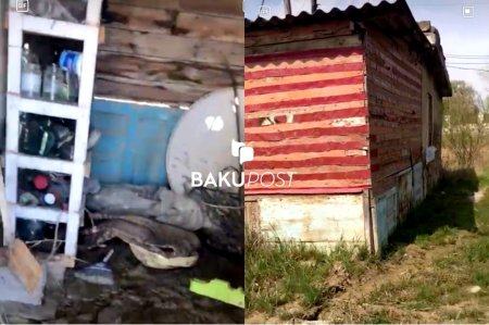 Ceyranbatanda məktəbin tualetini "ev"ə çevirdilər - FOTO-VİDEO