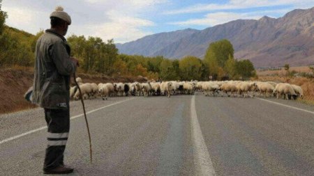 Çoban cinsi əlaqədə olmaq istəməyən arvadının başına... – Abşeronda şok